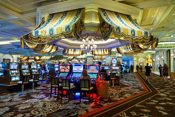 grafik sdy Data Keluaran results dashboard showing live casino outcomes